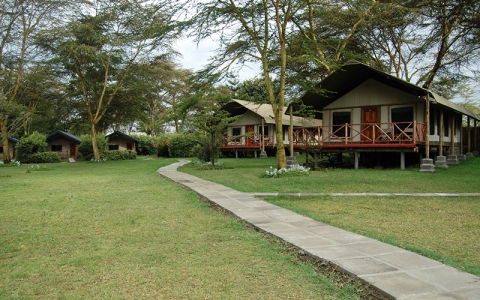About our Tents